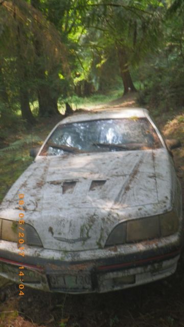 1987 Ford Thunderbird Turbo Coupe - photo 3