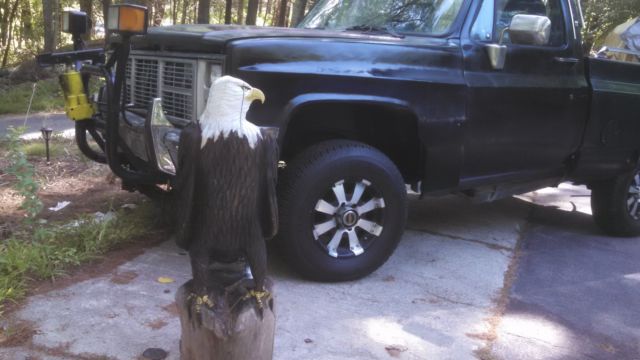1987 GMC Sierra 1500 Sierra 1500 - photo 2