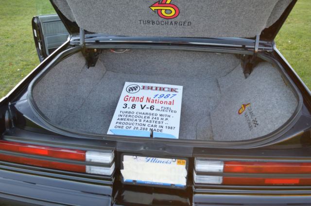 1987 Buick Grand National 1987 - photo 8