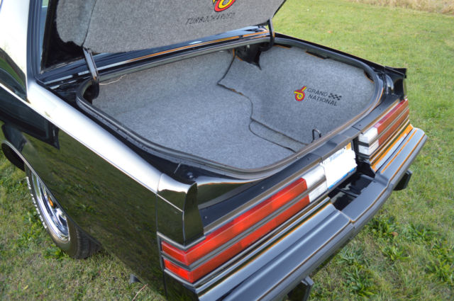 1987 Buick Grand National 1987 - photo 9