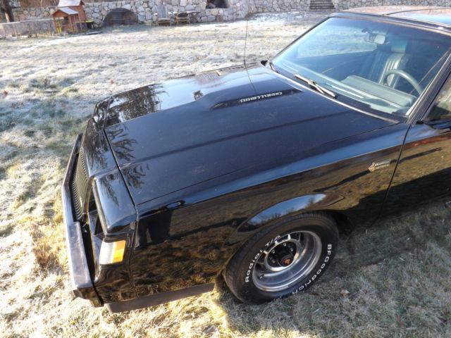 1987 Buick Grand National 2 door - photo 3