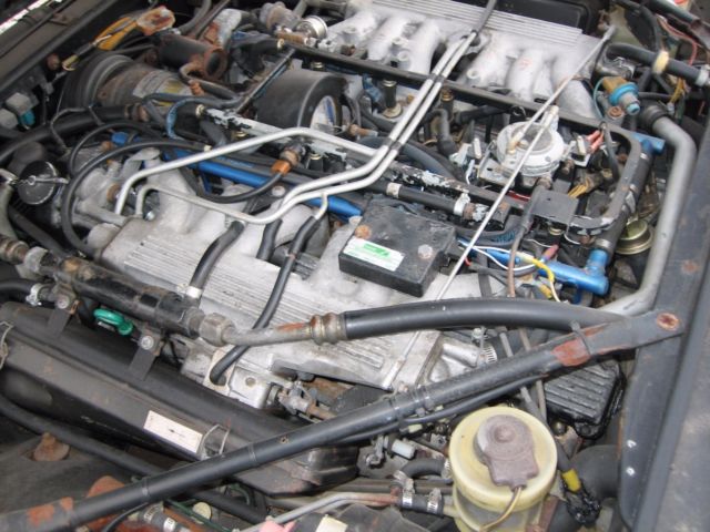 1987 Jaguar XJS - photo 5