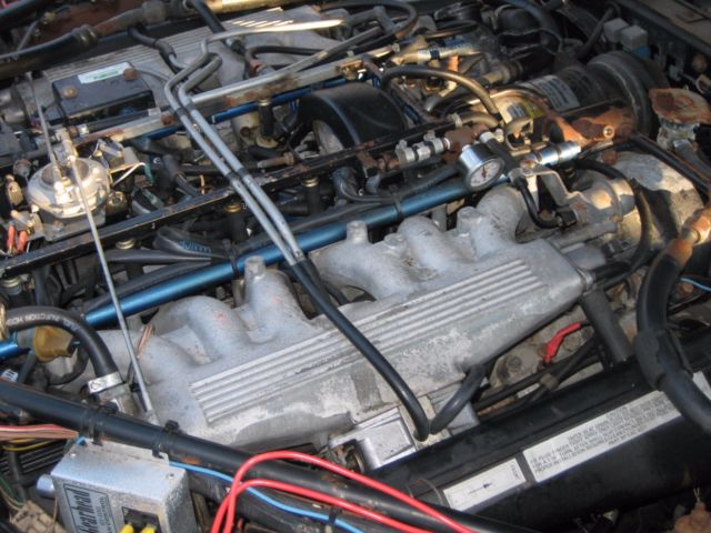 1987 Jaguar XJS - photo 10