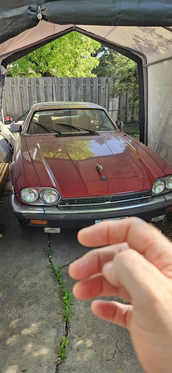 1987 Jaguar XJS - photo 3