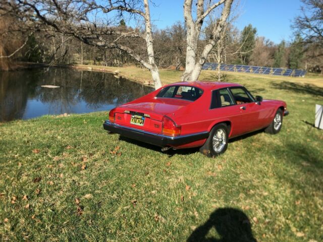 1987 Jaguar XJS - photo 2