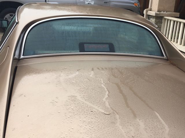 1987 Jaguar XJS Coupe - photo 4