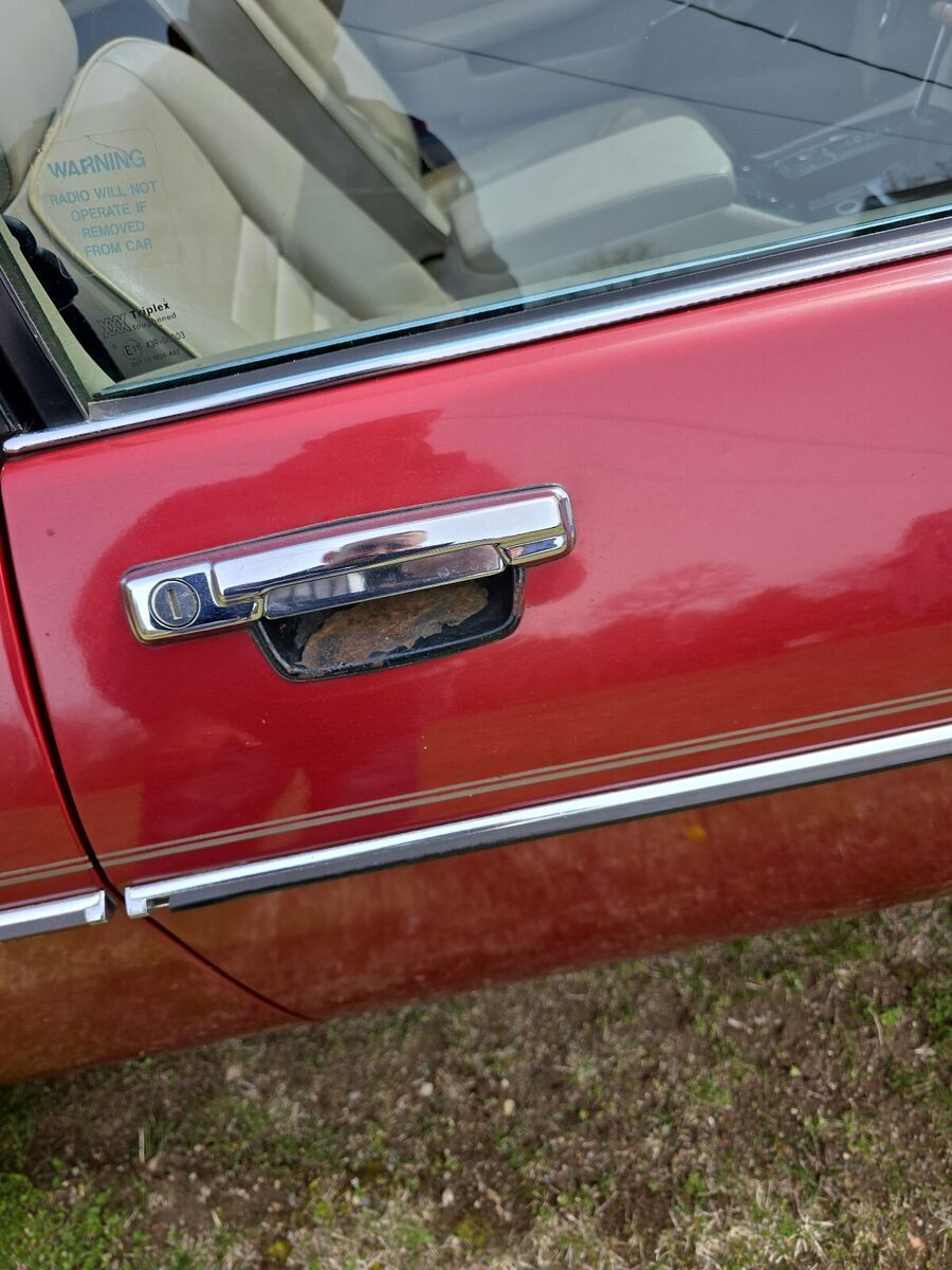 1987 Jaguar XJS HE - photo 11