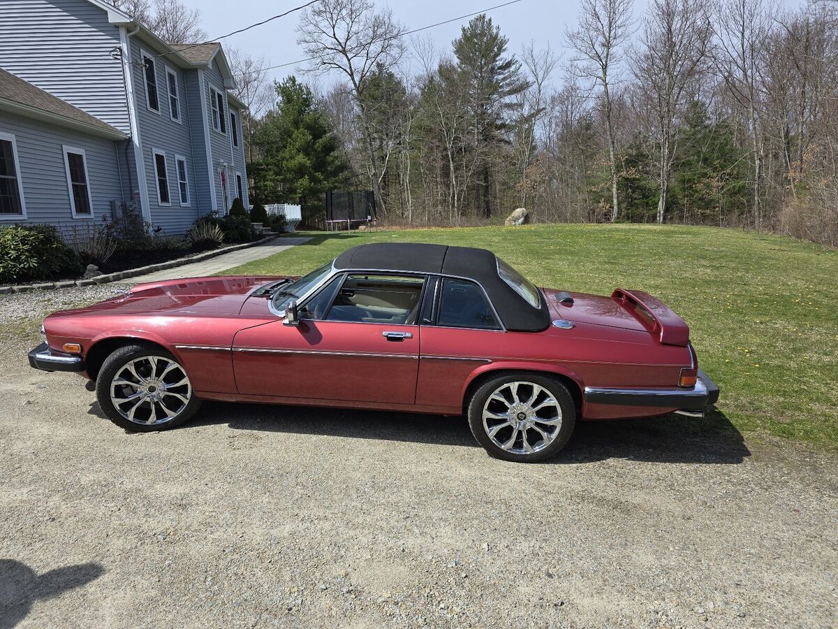 1987 Jaguar XJS HE - photo 3