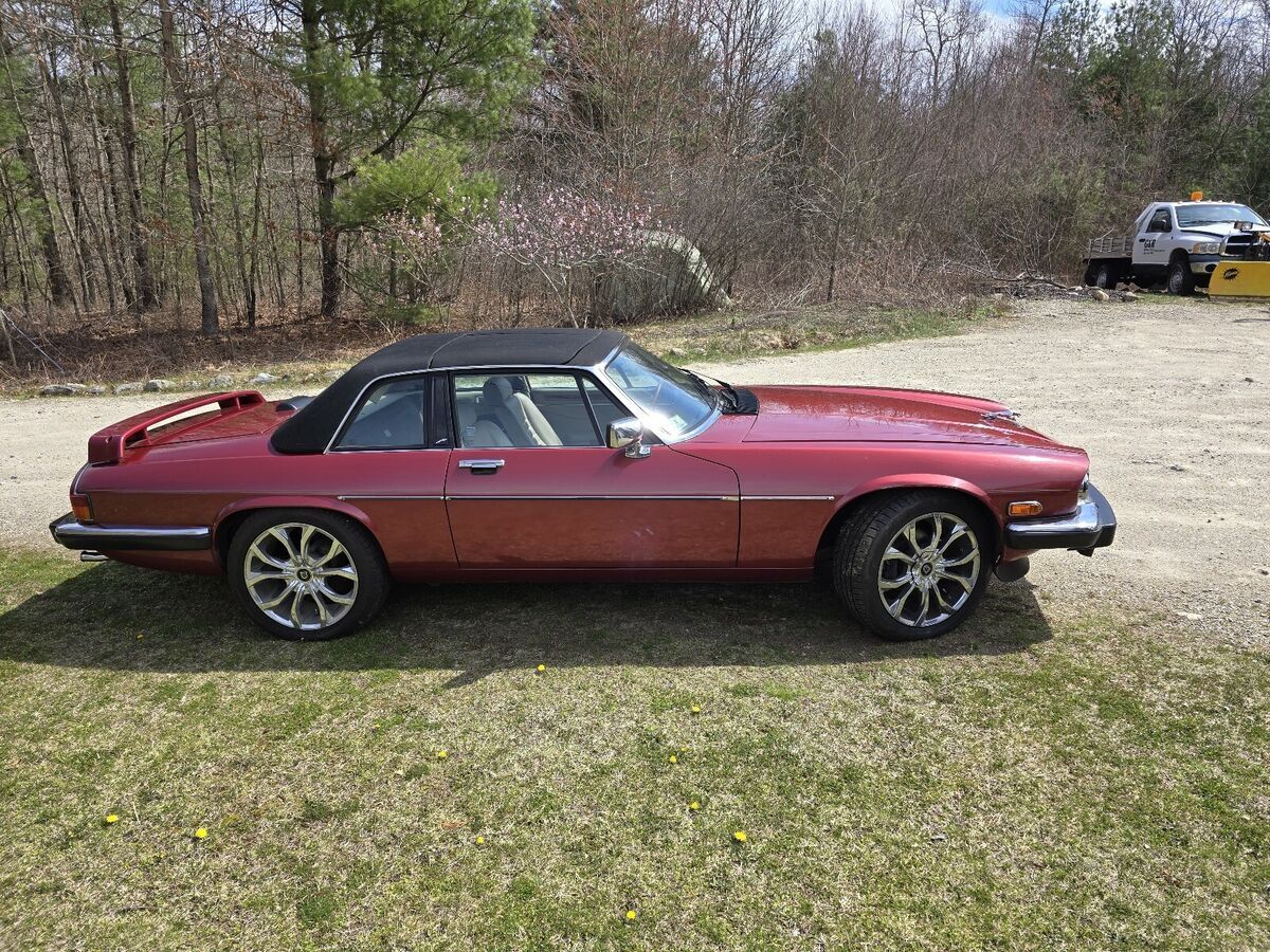 1987 Jaguar XJS HE - photo 5