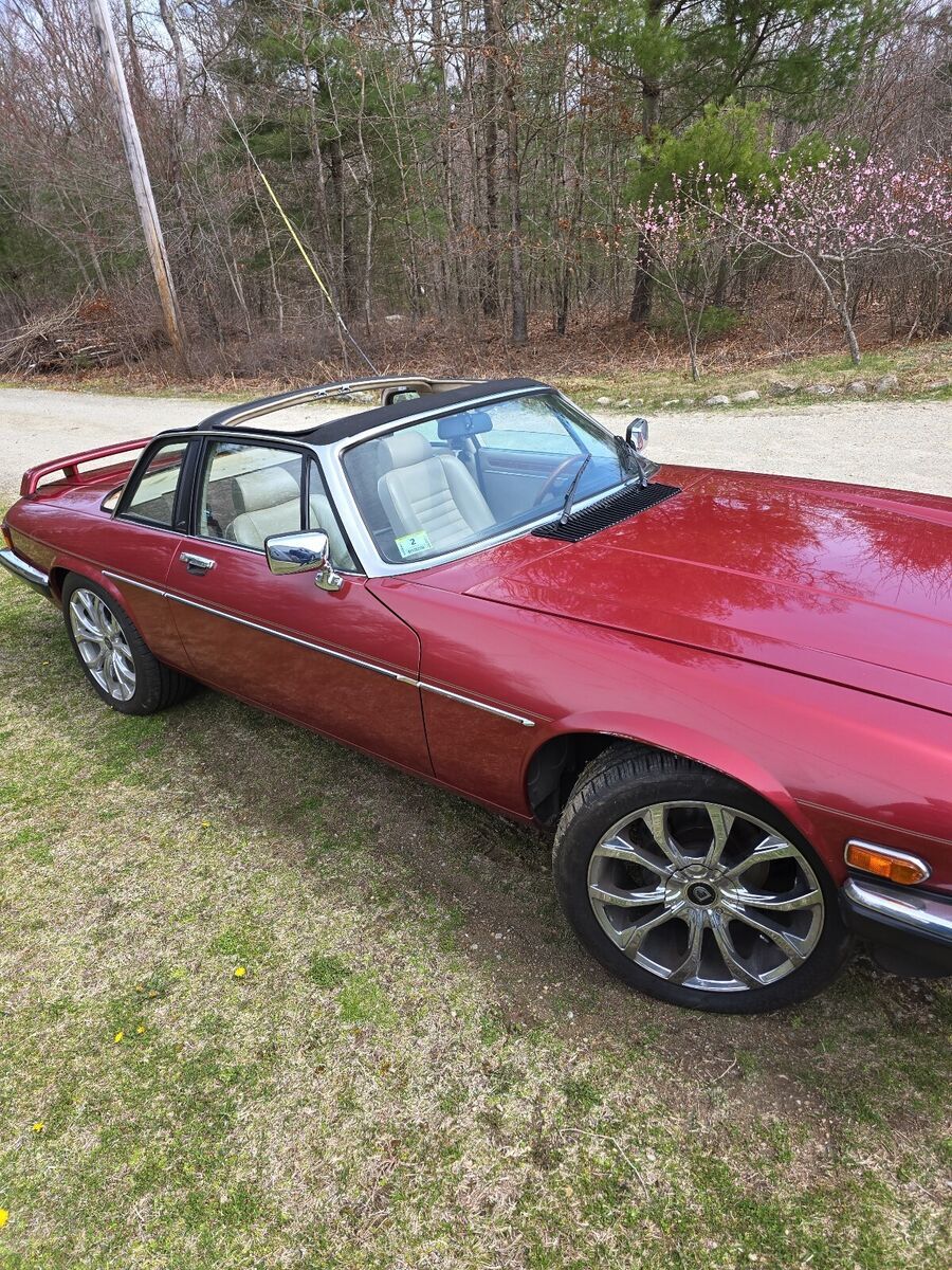1987 Jaguar XJS HE - photo 9