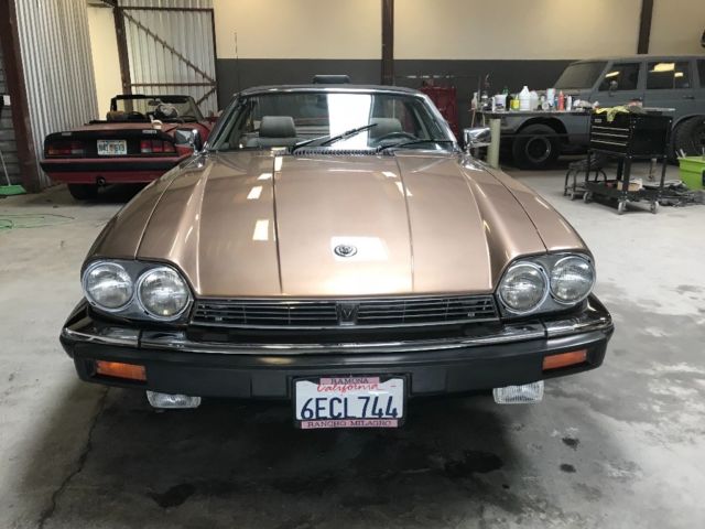 1987 Jaguar XJS - photo 5