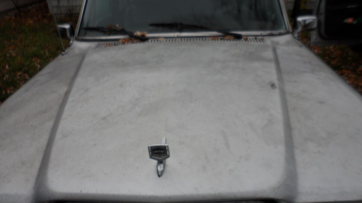1987 Jeep Grand Wagoneer - photo 3