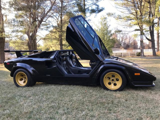 1987 Lamborghini Countach - photo 3