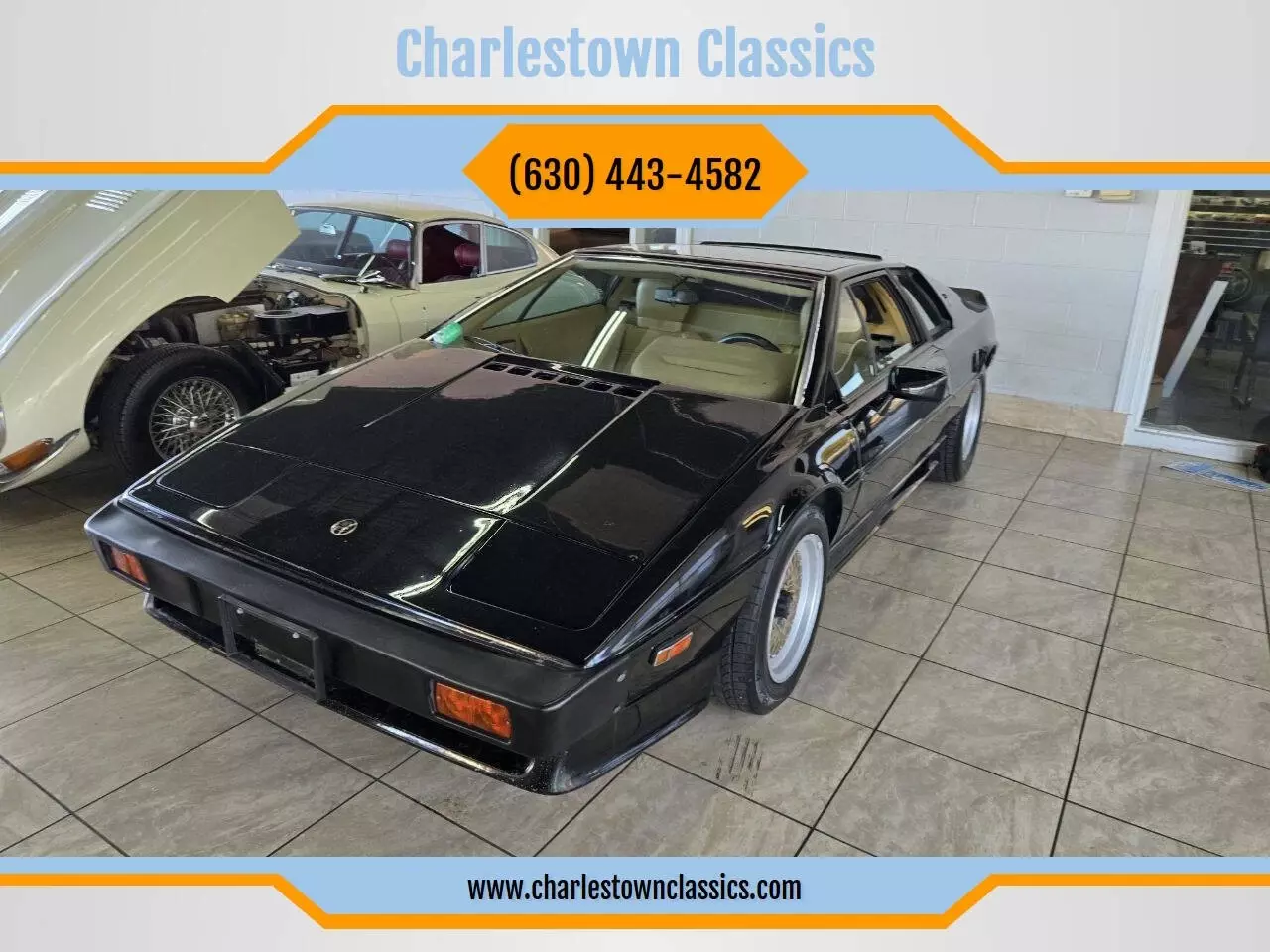 1987 Lotus Esprit Turbo HSC