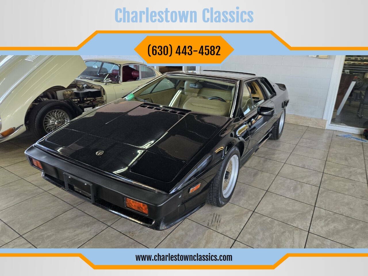 1987 Lotus Esprit Turbo HSC - photo 10