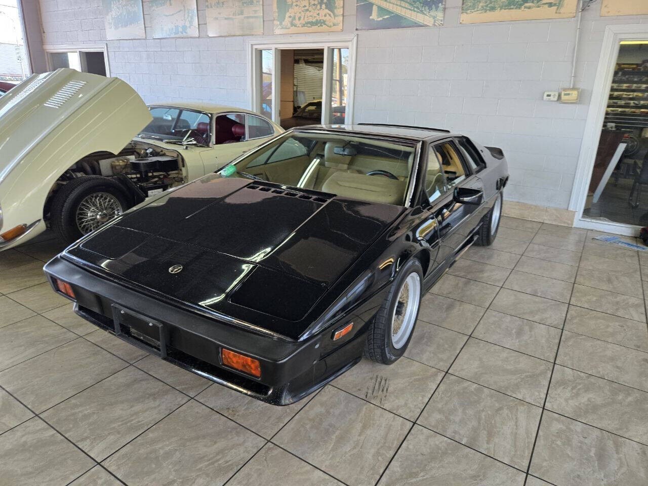 1987 Lotus Esprit Turbo HSC - photo 2