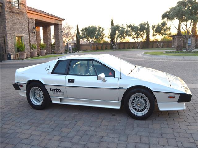 1987 Lotus Esprit Turbo Esprit - photo 6