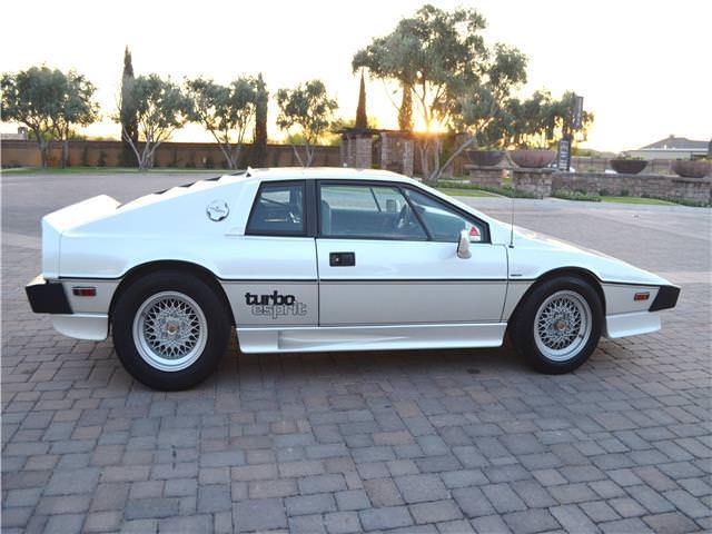 1987 Lotus Esprit Turbo Esprit - photo 8