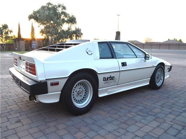 1987 Lotus Esprit Turbo Esprit - photo 9