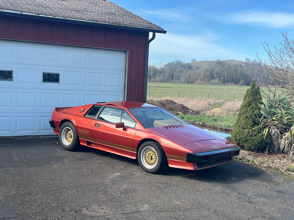 1987 Lotus Esprit - photo 5
