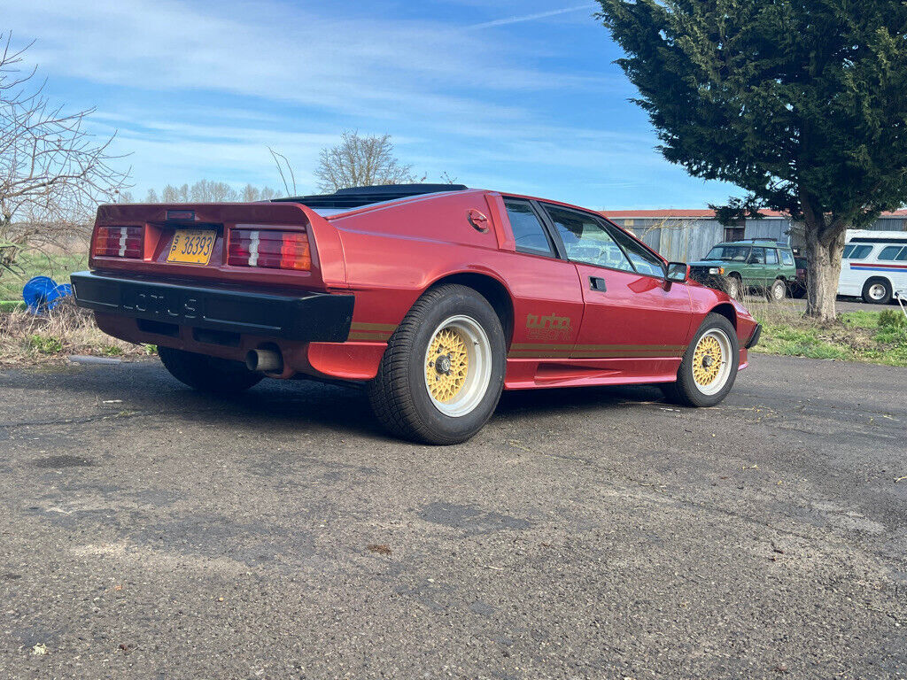 1987 Lotus Esprit - photo 7