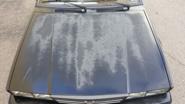 1987 Maserati Spyder - photo 6