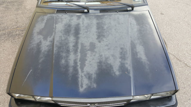 1987 Maserati Biturbo Si - photo 6