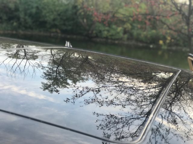 1987 Mercedes-Benz 500-Series Grey - photo 7