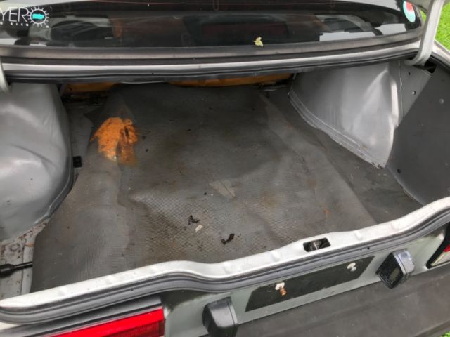 1987 Nissan Sentra - photo 2