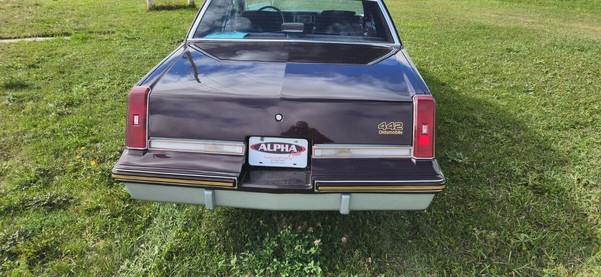 1987 Oldsmobile Cutlass 442 - photo 5