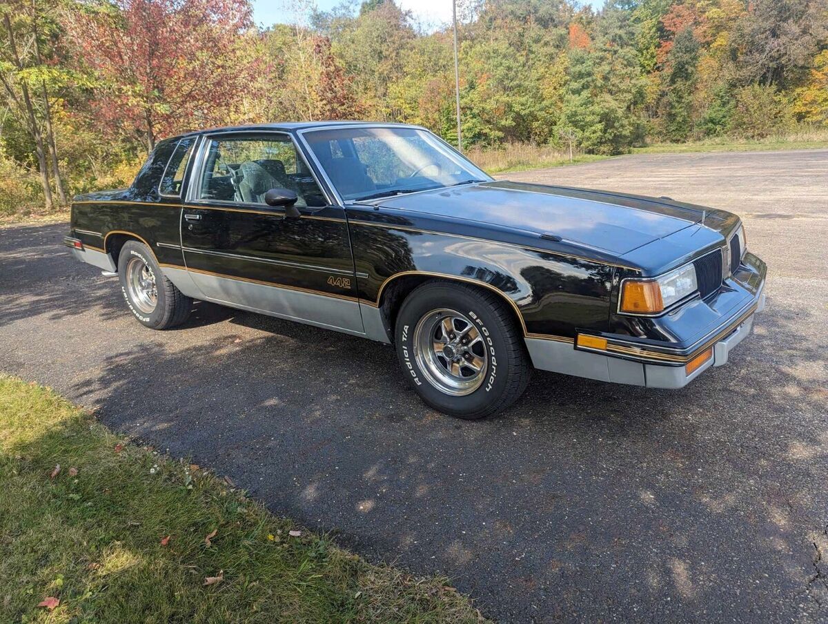 1987 Oldsmobile 442 - photo 3