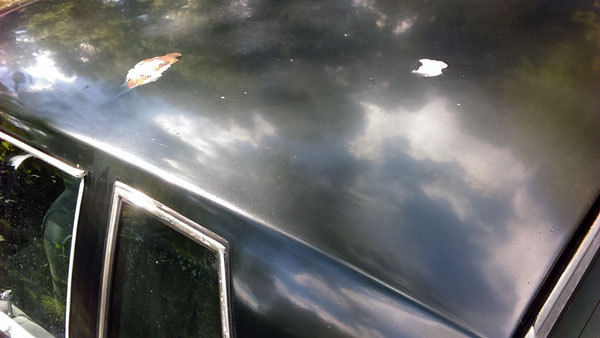 1987 Oldsmobile Cutlass - photo 4