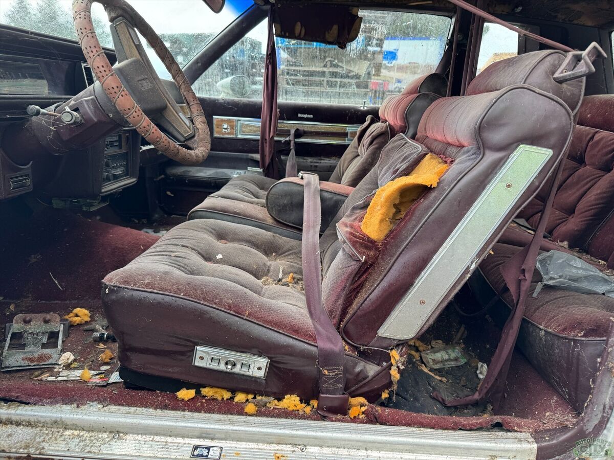 1987 Oldsmobile Cutlass BARN FIND ! - photo 10