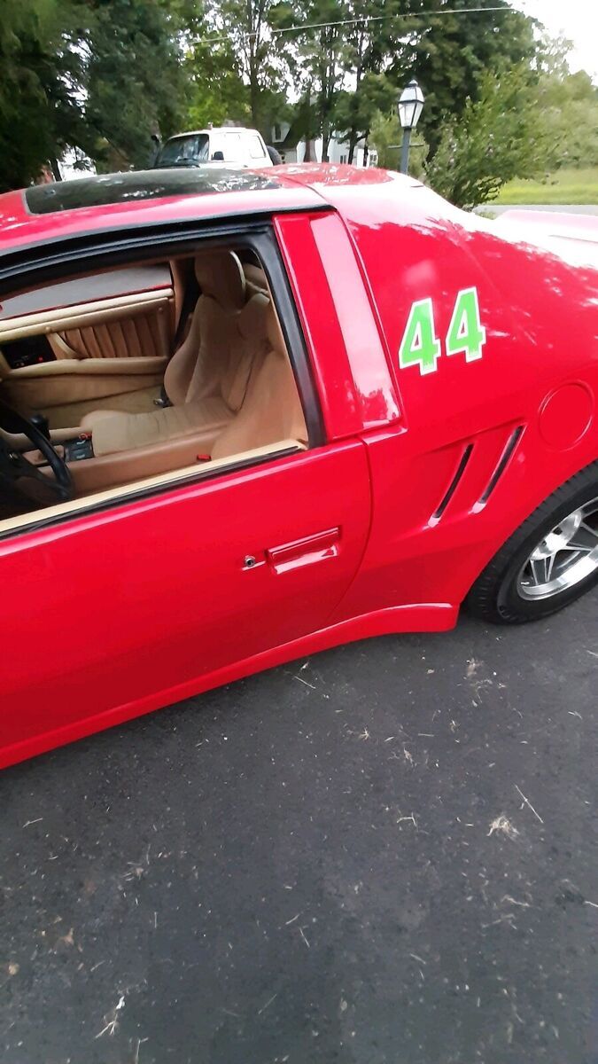 1987 Pontiac Fiero Enterra Vipre - photo 4