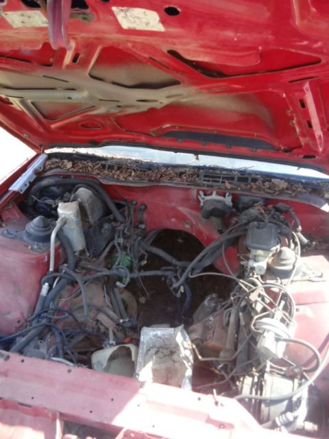 1987 pontiac firebird 5.0 litre f.i fuel injected "No Certificate of Title" 1987 Pontiac Firebird