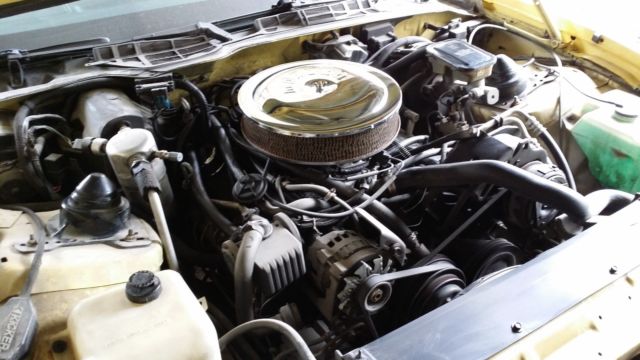 1987 Pontiac Firebird Formula - photo 4