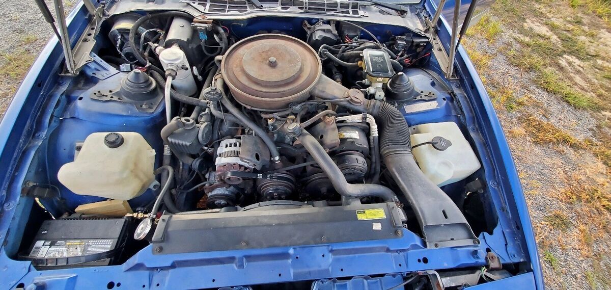 1987 Pontiac Firebird TRANS AM - photo 9