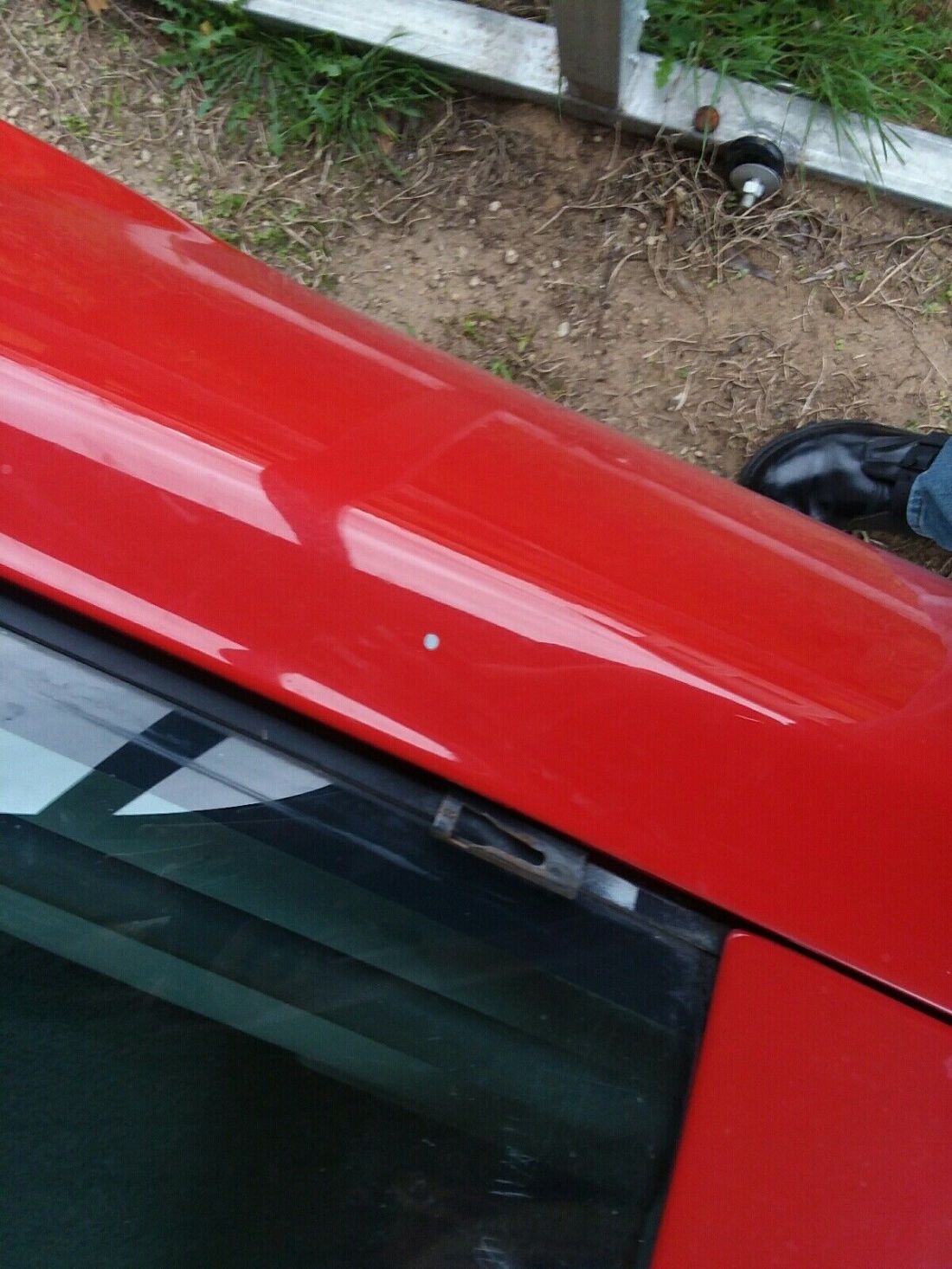 1987 Pontiac Firebird TRANS AM - photo 3
