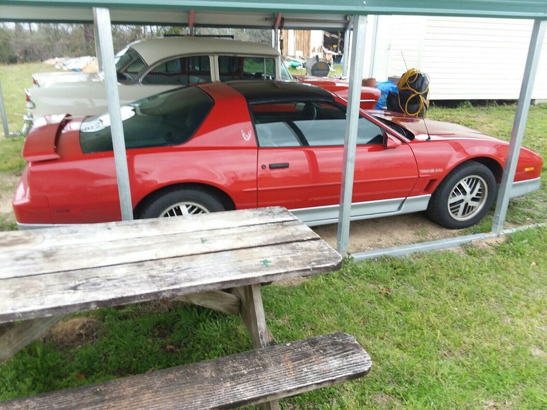 1987 Pontiac Firebird TRANS AM - photo 5