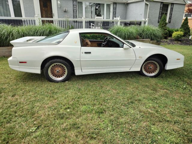 1987 Pontiac Firebird TRANS AM