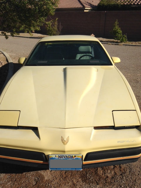 1987 Pontiac Firebird Formula 350 - photo 8