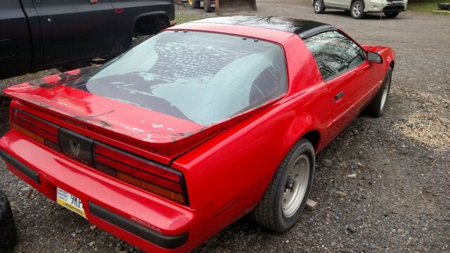 1987 Pontiac Firebird Formula - photo 4
