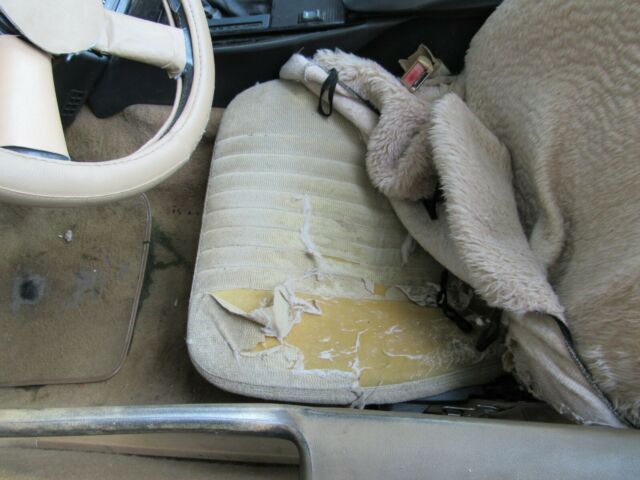 1987 Pontiac Firebird Trans Am - photo 5