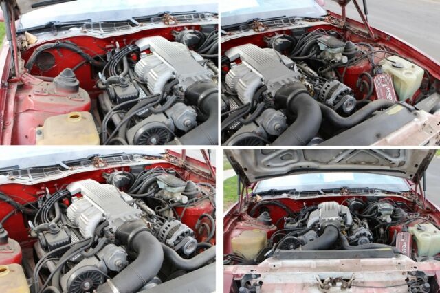 1987 Pontiac Trans Am - photo 12