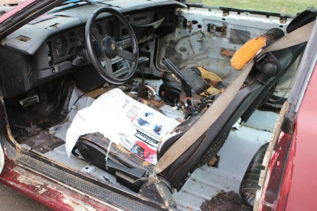 1987 Pontiac Trans Am - photo 6