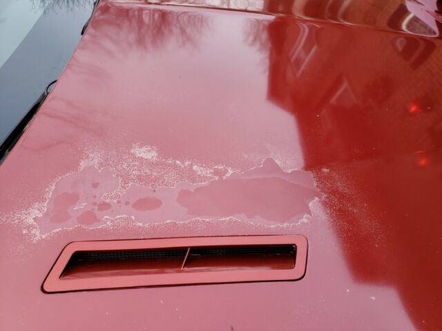 1987 Pontiac Trans Am - photo 9