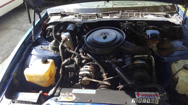 1987 Pontiac Firebird TRANS AM - photo 6
