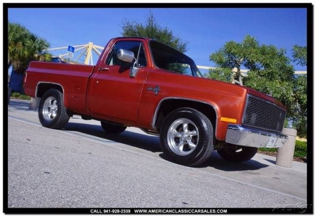 1987 Chevrolet Other R10 Silverado 2dr Standard Cab SB - photo 3