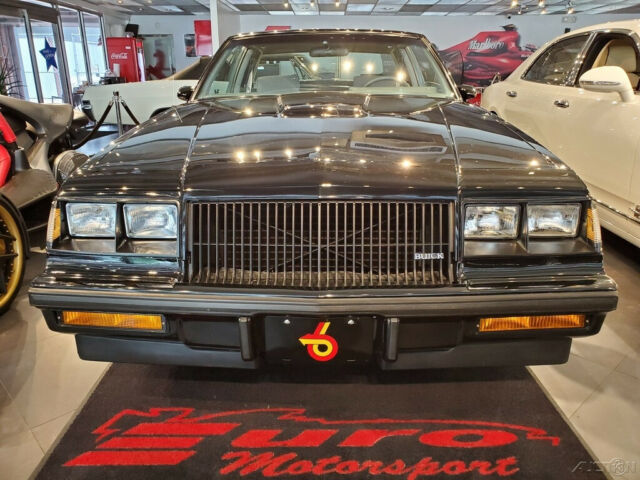 1987 Buick Regal Regal T-Type 3.8 Turbo - photo 6