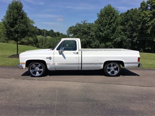 1987 Chevrolet Other Pickups Silverado Standard Cab Pickup 2-Door - photo 3